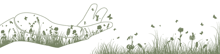 Biodiversitet