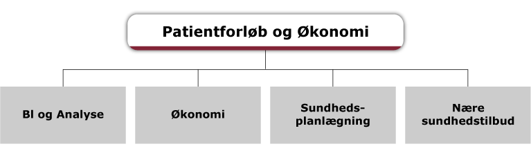 Patientforløb og Økonomis organisationsdiagram