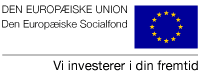 Den Europæiske Socialfond